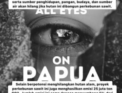AllEyesOnPapua: Konflik Masyarakat Adat dan Pemerintah Kembali Memanas