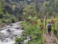 Kertoembo Kampung Minim Sinar Matahari