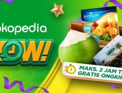 GoTo Umumkan Akan Tutup Tokopedia Now per 15 Juli 2024