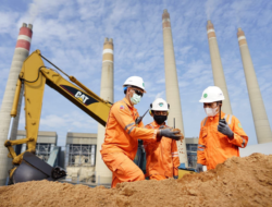 PLN Dorong Transisi Energi dengan Program Co-Firing Berbasis Ekonomi Kerakyatan