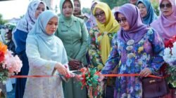 Istri Pjs Bupati Lingga Resmikan Stand Bazar UMKM di Perayaan HUT Kabupaten Lingga ke-21