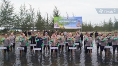 Kolaborasi PT Timah Dan Polda Babel Penanaman Mangrove di Pantai Menaung