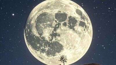 Waspada! Supermoon Picu Banjir Rob di Batam dan Sekitarnya