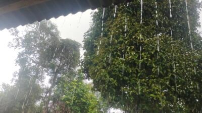 Warga Batam Waspada Hujan dan Petir Hari Ini, Siapkan Payung dan Jas Hujan!