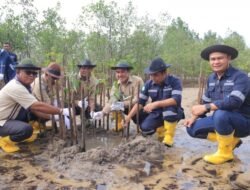 Menjaga Ekosistem Pesisir, PT Timah Menanam 2500 Pohon Magrove