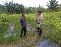 Bhabinkamtibmas Polsek Tebing Gandeng Para Petani Lokal Dalam Mendukung Ketahanan Pangan Nasional