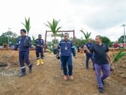 PT Timah Bangun Kawasan Perkebunan Tanjung Ular di Mentok