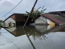 Makassar Darurat Banjir, Status Tanggap Darurat Ditetapkan