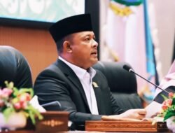 Buaya Lepas Jadi Ancaman Untuk Nelayan, Iman Sutiawan Minta PT PJK Selesaikan Persoalan Tersebut