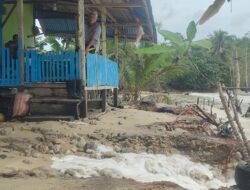 Dampak Banjir Rob di Kampung Boyan Ancam Keselamatan Penghuni Rumah, Warga Minta Pemerintah Jangan Tutup Mata