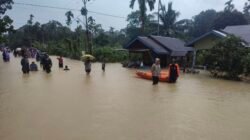 Warga Lihat Buaya Saat Banjir Rendam Ibu Kota Lingga, Bupati: Kurangi Aktivitas di Luar Rumah