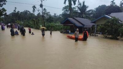 Warga Lihat Buaya Saat Banjir Rendam Ibu Kota Lingga, Bupati: Kurangi Aktivitas di Luar Rumah