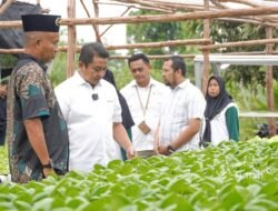 PT Timah Gerakkan Program Hidroponik Bagi Kelompok Perempuan di Desa Sawang Laut