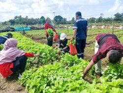 Farm Estate Tanjung Ular Ciptakan Kesempatan Kerja Bagi Masyarakat