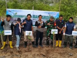 PT Timah Kembali Tanam Ribuan Mangrove di Desa Sawang Laut