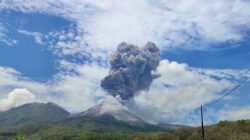 Aktivitas Vulkanik Meningkat, Gunung Lewotobi Laki-laki Berstatus Awas