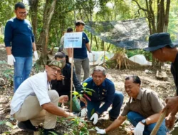 PLN Batam Dukung Ketahanan Pangan dan Pemberdayaan Masyarakat Melalui Agrowisata Lembah Pelawan