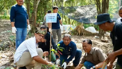 PT PLN Batam mendukung pengembangan Agrowisata Lembah Pelawan dengan menanam ratusan bibit pohon produktif. Program TJSL ini bertujuan mendorong penguatan peran kelompok tani dan menjaga keberlanjutan lingkungan. Foto: PLN Batam
