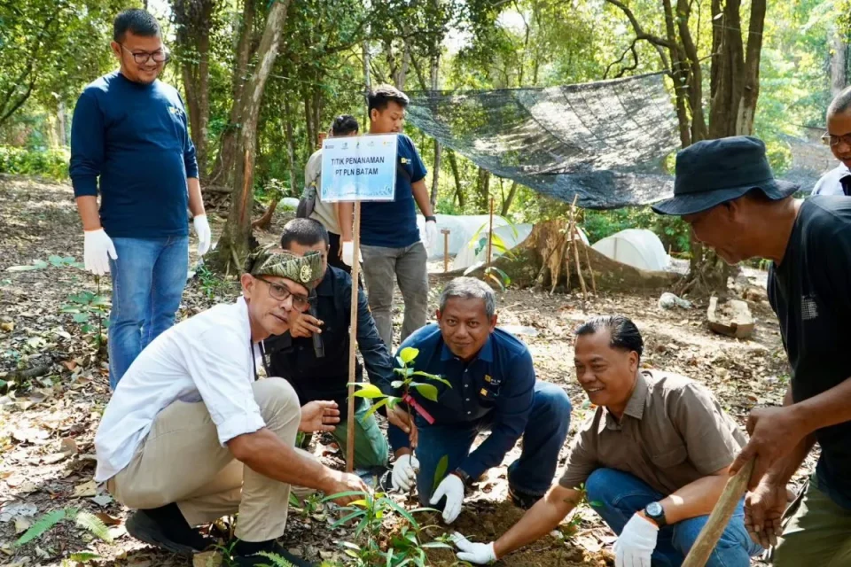 PT PLN Batam mendukung pengembangan Agrowisata Lembah Pelawan dengan menanam ratusan bibit pohon produktif. Program TJSL ini bertujuan mendorong penguatan peran kelompok tani dan menjaga keberlanjutan lingkungan. Foto: PLN Batam