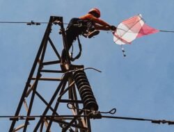Jangan Main Layangan Dekat Kabel Listrik! PLN Batam: Risikonya Korsleting hingga Kematian