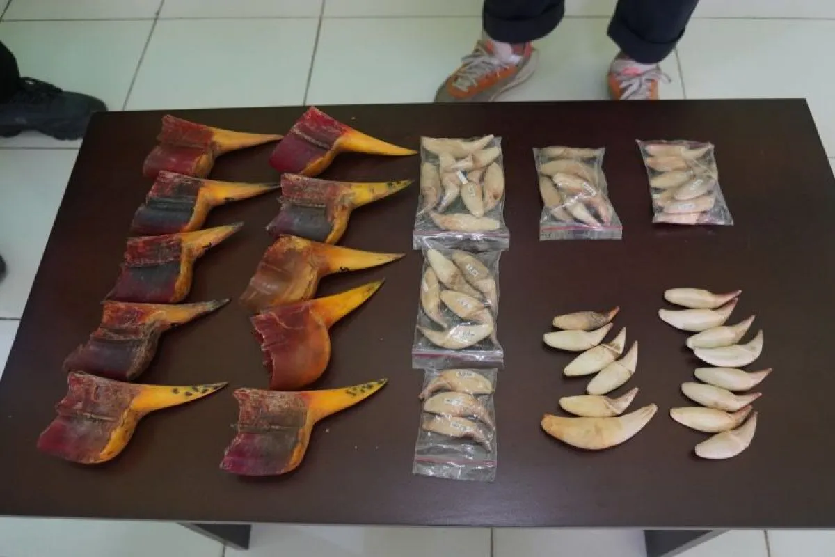 Barang Bukti Hasil Sitaan Bea Cukai