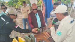 Bupati Lembata Jajaki Kerja Sama Investasi Perkebunan Mete di Larantuka