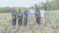 PT TIMAH Tbk Tanam Lima Puluh Ribu Bibit Nanas di Kundur
