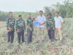PT TIMAH Tbk Tanam Lima Puluh Ribu Bibit Nanas di Kundur