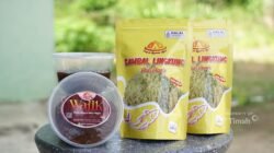 Dapuk Nyamen Apri Kian Eksis Dengan Dukungan PT TIMAH Tbk