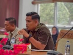 Apresiasi Ranperda PSU, Daeng Harianto Beri Saran Ini ke DPRD Batam
