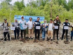PT Timah Tbk Tanam Ribuan Mangrove di Pantai Kobel Kundur