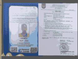 Bukan Sejak Awal Resmi, Surat Tugas Jukir Ocarina Baru Terbit Usai Penertiban