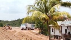 Bakau Panaran Diratakan: Nama Pandi dan Ayong Mencuat di Balik Proyek