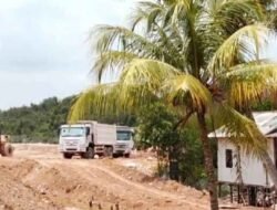 Bakau Panaran Diratakan: Nama Pandi dan Ayong Mencuat di Balik Proyek