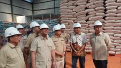 Kunjungi Gudang Bulog di Batam, Endipat Wijaya Pastikan Ketahanan Pangan Aman Hingga 3 Bulan ke Depan
