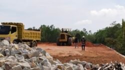 Aktivis Desak BPN Tinjau Ulang SHGB di Hutan Bakau, Minta Penimbunan Dihentikan