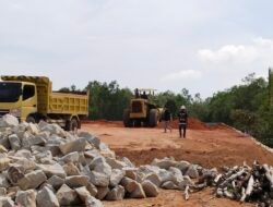 Penimbunan Pantai Diduga Ilegal, Mangrove Rusak