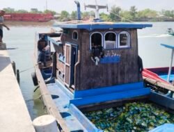 Buruh Pelabuhan Bantah Kapal Dewi Jaya Angkut Daging