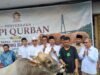 DPD Gerindra Kepri Salurkan Puluhan Hewan Kurban, Ada Sapi 1 Ton dari Presiden Prabowo Subianto