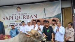 DPD Gerindra Kepri Salurkan Puluhan Hewan Kurban, Ada Sapi 1 Ton dari Presiden Prabowo Subianto