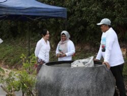 BP Batam Sesalkan Aksi Perusakan Tanaman Hias, Puluhan Bugenvil di Jalur Kota Rusak dan Hilang