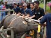 BP Batam Salurkan 33 Hewan Kurban, Perkuat Kepedulian Sosial dan Semangat Berbagi di Hari Raya Idul Adha