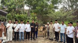 Dinas PUTR Karimun Sembelih Hewan Kurban, Daging Disalurkan untuk Warga Dan Upaya Tekan Stunting