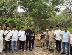 Dinas PUTR Karimun Sembelih Hewan Kurban, Daging Disalurkan untuk Warga Dan Upaya Tekan Stunting