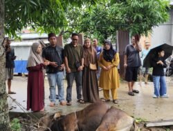 DPD PKSS Karimun Sembelih Hewan Kurban, Perkuat Kebersamaan dan Kepedulian Sosial