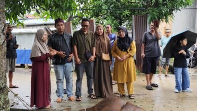DPD PKSS Karimun Sembelih Hewan Kurban, Perkuat Kebersamaan dan Kepedulian Sosial