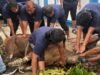KPBC Bea Cukai Karimun Sembelih Tiga Ekor Sapi Kurban, Daging Dibagikan kepada Masyarakat