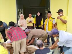 DPD Partai Golkar Karimun Sembelih Sapi Kurban, Bagikan Daging Kepada Masyarakat yang Membutuhkan