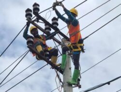PLN Batam Lakukan Pemeliharaan Rutin 4 Februari, Cek Daftar Wilayah yang Terdampak