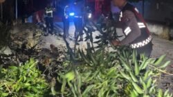 Polres Karimun Gerak Cepat Tangani Pohon Tumbang di Bukit Sidomulyo, Arus Lalu Lintas Kembali Normal